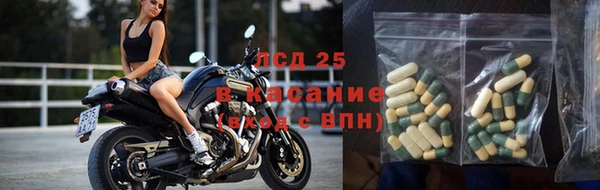 гидра Армянск