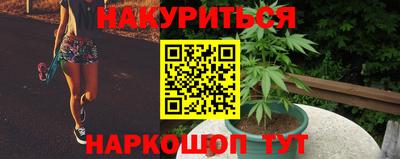 гашик Кинель